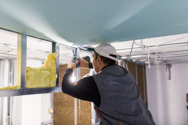 Best Commercial Insulation in Ellitt, CO